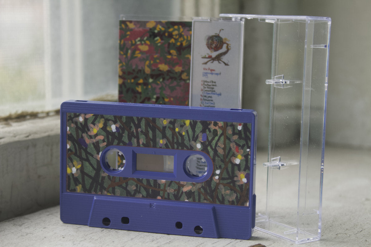 10x Approx. cassette