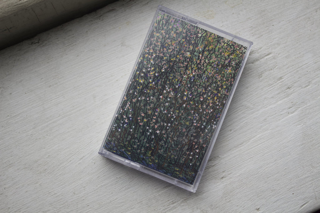 10x Approx. cassette