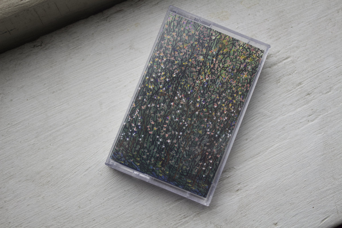 10x Approx. cassette