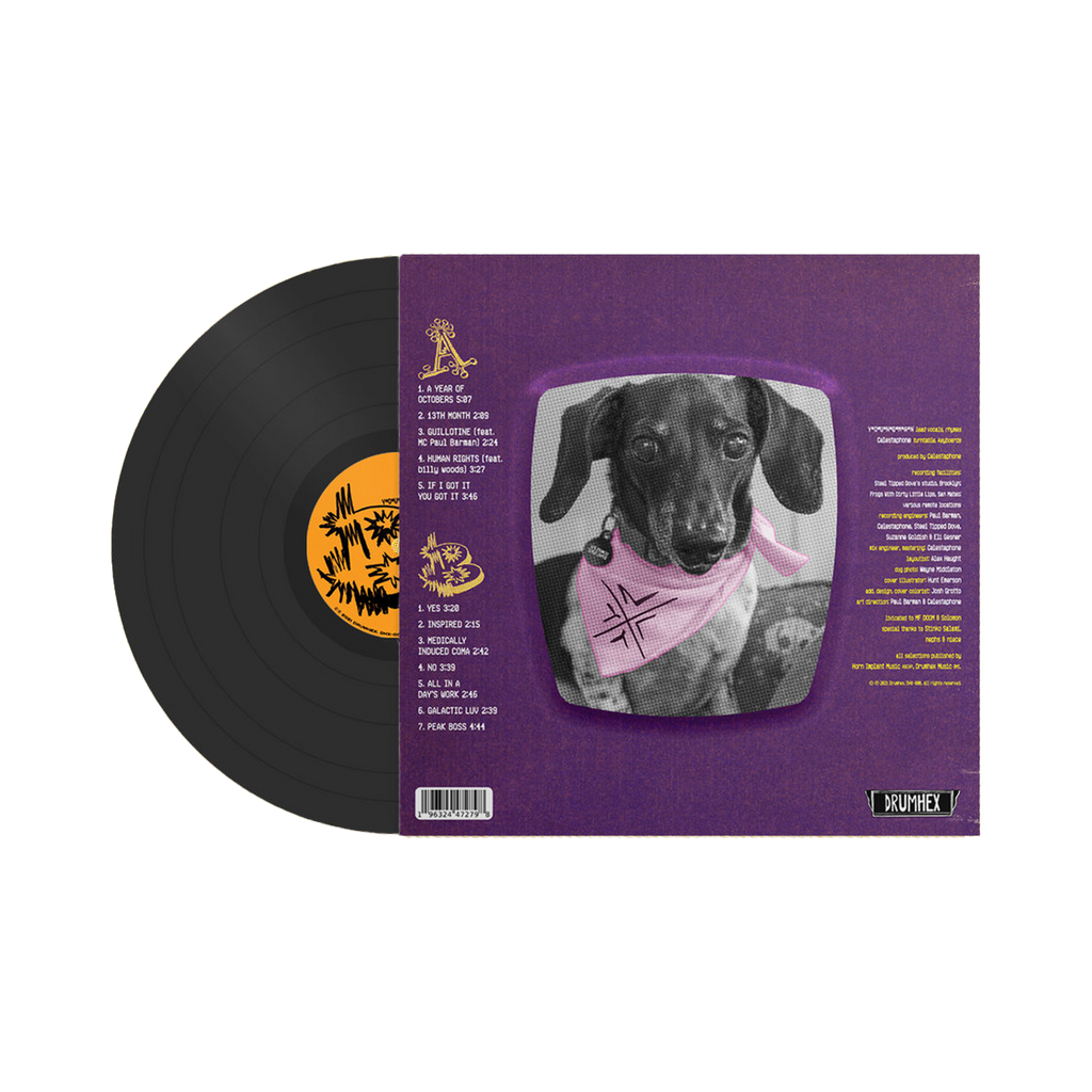 A Year Of Octobers 12" Vinyl LP by YOUNGMAN & Celestaphone