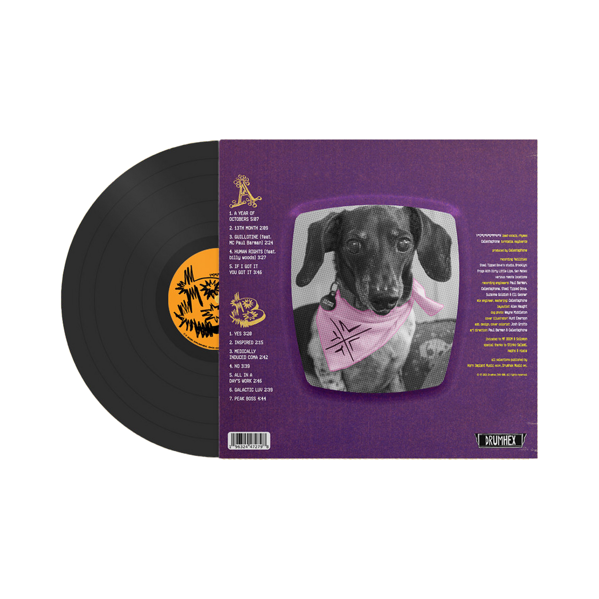 A Year Of Octobers 12" Vinyl LP by YOUNGMAN & Celestaphone