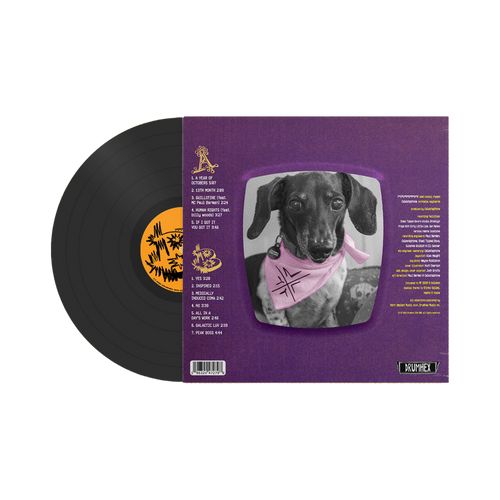 A Year Of Octobers 12" Vinyl LP by YOUNGMAN & Celestaphone