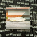 WAVE GENERATORS - Run Away With A Wild And A Rare One CD