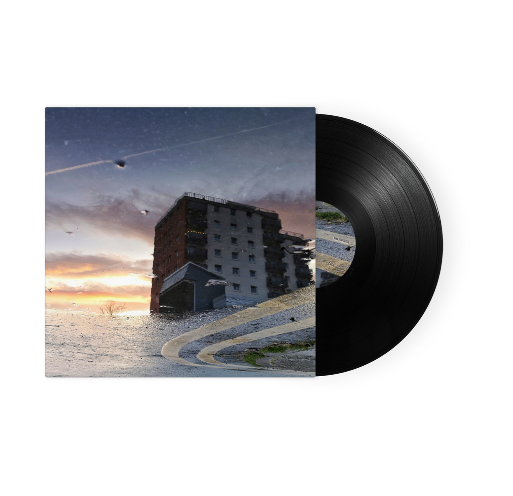 Defcee & steel tipped dove - We Will Be Brief (12" Vinyl LP)